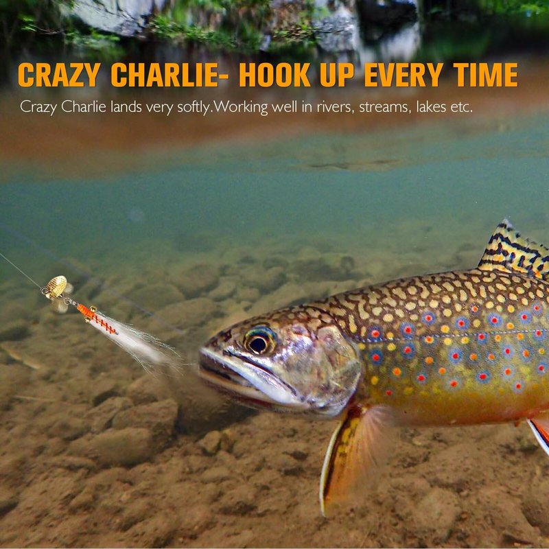 Dovesun Fly Fishing Lures Crazy Charlie Fly Fishing Flies Wet Fishing Lures Fishing Spinner for Bass Sunfish Pike Trout Flies Fly Fishing Accessories #10 5PCS