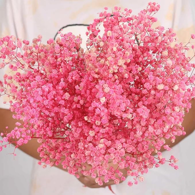Dried Babys Breath Flowers Bouquet-17 Inch 2500+ Pink Dry Flowers, Natural Gypsophila Branches for Wedding, Table Vase Decor, DIY Wreath Floral, Home Office Party Garden Decoration (3oz)