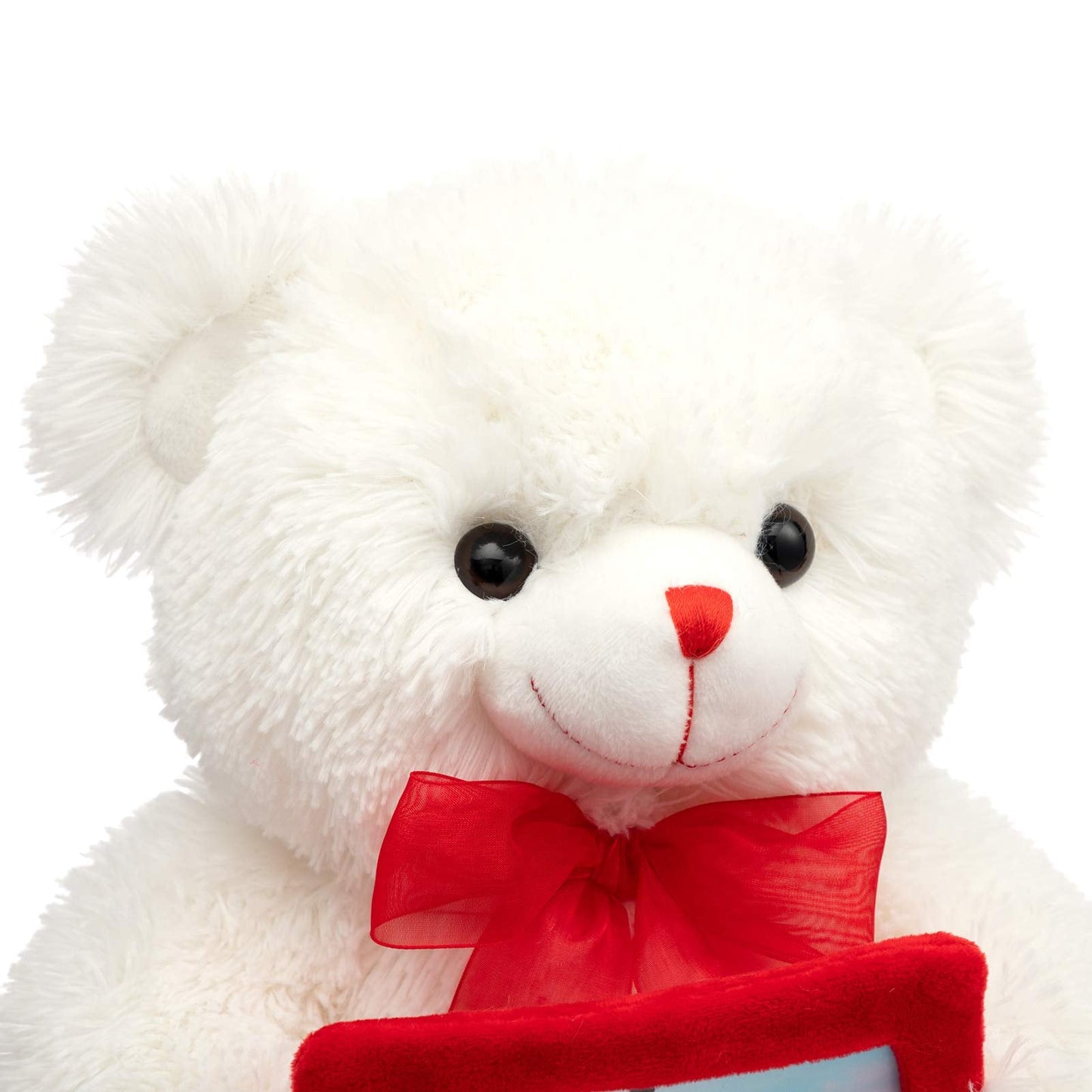 HollyHOME Teddy Bear Stuffed Animal Plush Bear with Red Bow Holding a Picture Frame Soft Plush Toy Holiday Toy Gift 12 Inches Whit