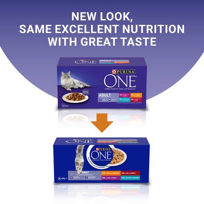 PURINA ONE Adult Cat Food Mini Fillets in Gravy 40 x 85g