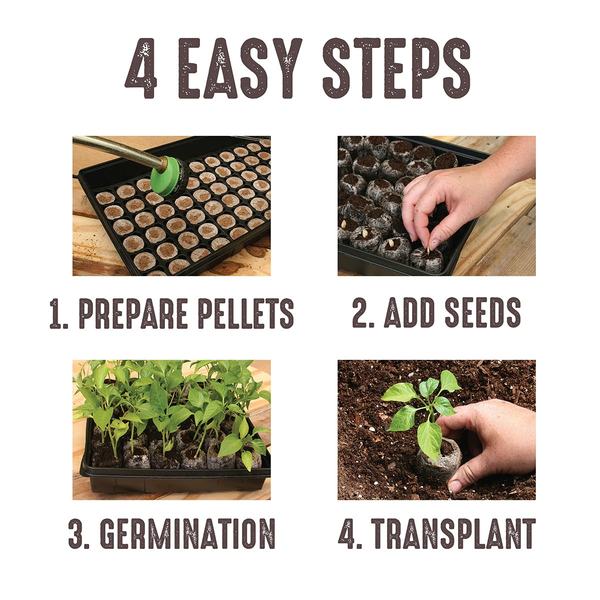 Ferry Morse Jiffy Seed Starting Greenhouse Tray Kit with 72 36mm Peat Pellets and Bonus SUPERthrive Sample + Plant Markers, 2 Pack, 144 Pellets Total