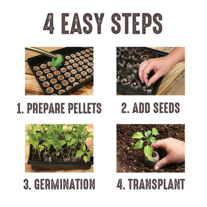 Ferry Morse Jiffy Seed Starting Greenhouse Tray Kit with 72 36mm Peat Pellets and Bonus SUPERthrive Sample + Plant Markers, 2 Pack, 144 Pellets Total