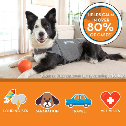 Thundershirt mens Pettorina Anti Ansia per Cani ThunderShirt Classic Dog Anxiety Jacket Heather Gray XX Small, Grey, XXS UK