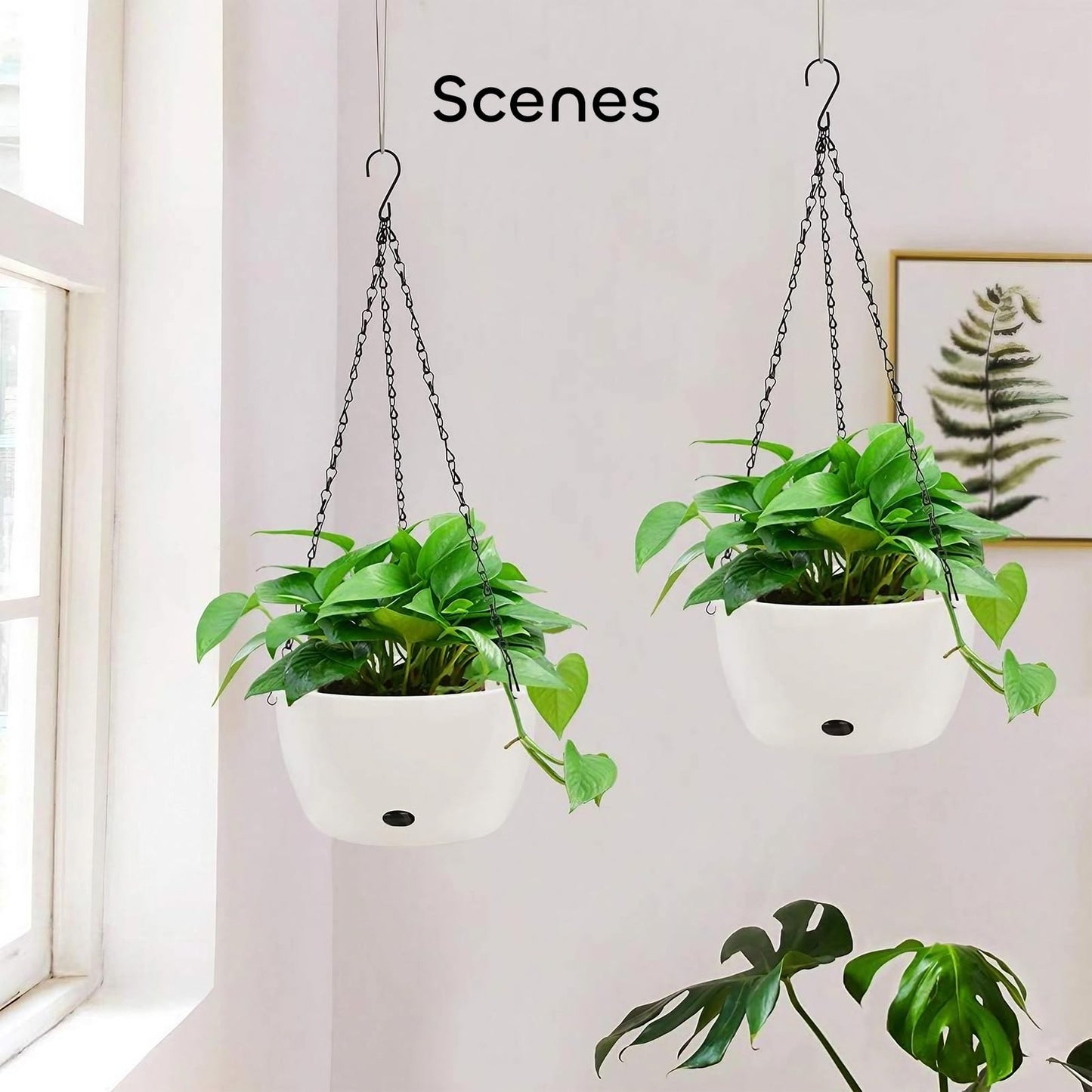GROWNEER 2 Packs 9.4 Inches Plastic Hanging Planter Self Watering Basket with 6 Pcs Hooks, Hanging Flower Pot with Detachable Base for Garden Indoor Outdoor Home Decoration (White-9.4inch)