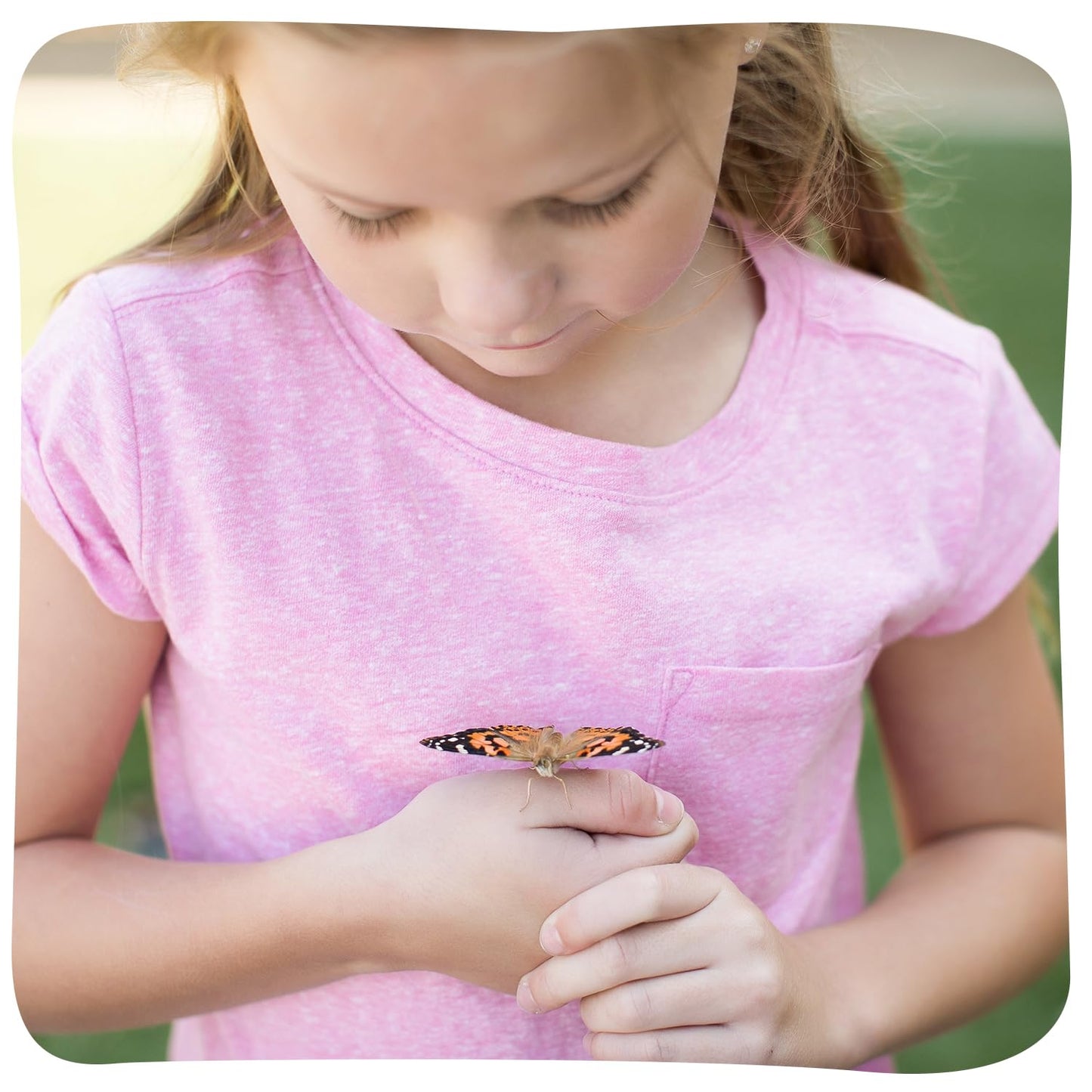 Insect Lore Giant Butterfly Garden with Voucher | 18 Inch Habitat | Life Cycle Figurines Included | Voucher to Redeem 5 Baby Caterpillars Later | Raise Painted Lady Butterflies