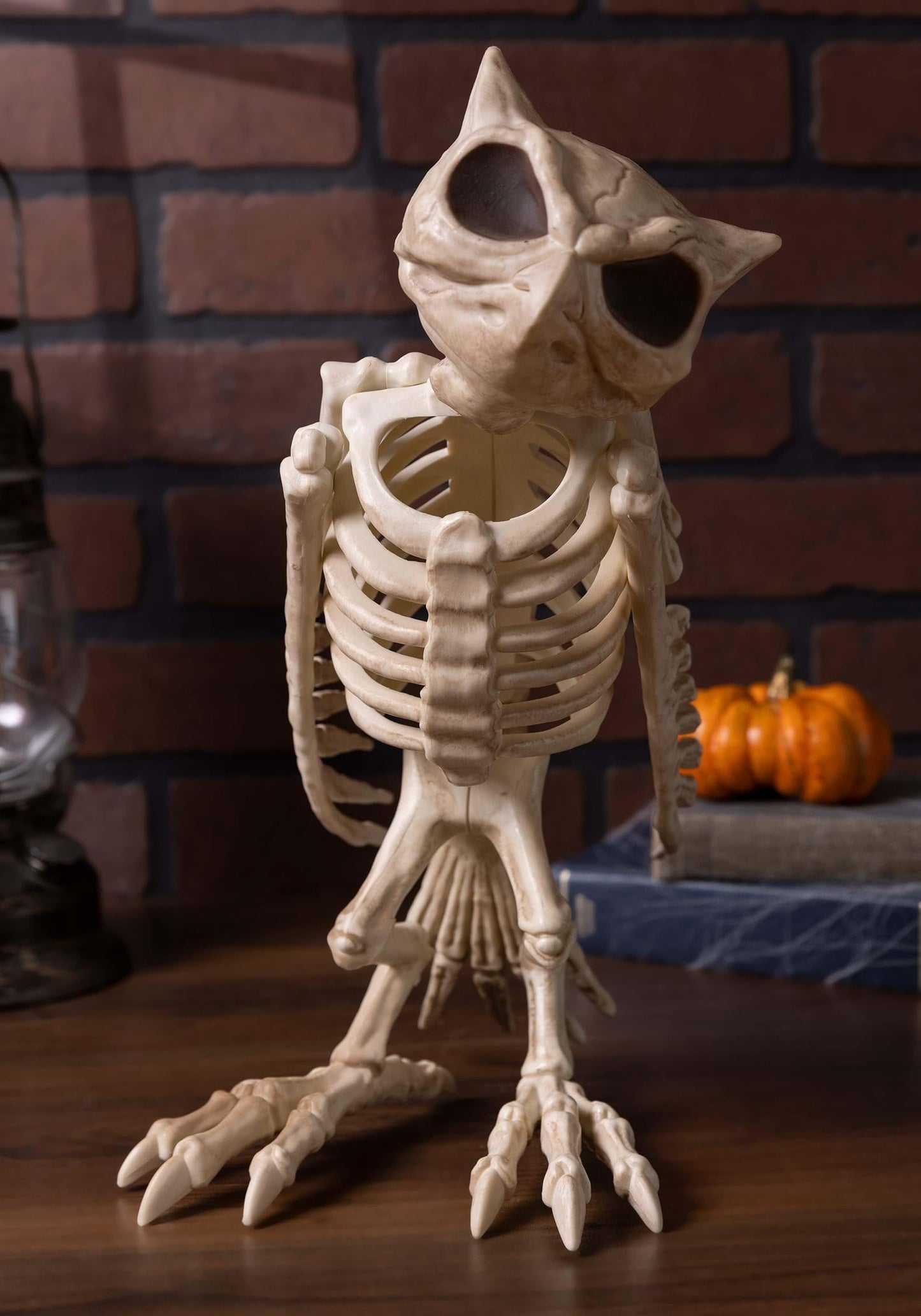 Crazy Bonez Skeleton Owl