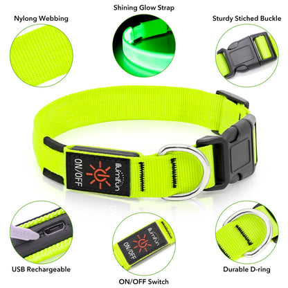 Illumifun Light Up Dog Collar, USB Rechargeable LED Dog Collar Glow in the Dark, Adjustable Pet Collar Safety Dog Lights for Night Walking (Green, Medium)
