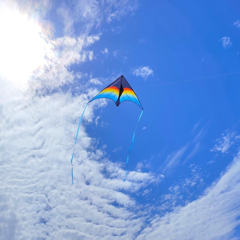Large Beach Delta Kite for Adults and Kids Ages 4-8 & 8-12, Extremely Easy to Fly for Beginners(60X30''), Single Line Kite,Comes with 300 FT String Kite Handle.(Rainbow)