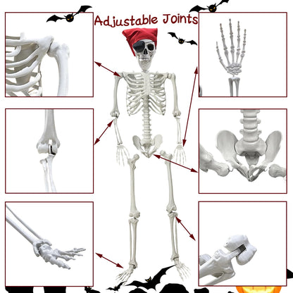IDMOP 5.4Ft Halloween Skeleton - Life Size Full Body Realistic Human Bones with Posable Joints for Halloween Pose Skeleton Prop Decoration