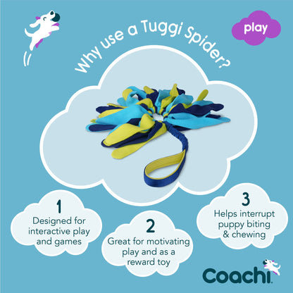 Coachi Tuggi Spider - Interactive Dog Toy for Tug of War & Play. Strong & Comfortable, Stretchy Bungee Handle, Reward Training, Interrupting Biting & Chewing. Ideal for Agility & Suitable for Puppies