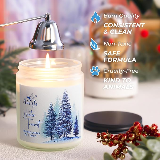 Hello Winter Candle | Fresh Citrus & Jasmine Scented Soy Candles - Winter Aromatherapy Candle Gift for Women & Men, Cozy Holiday Home Décor Candles, Long Lasting Clean Burn