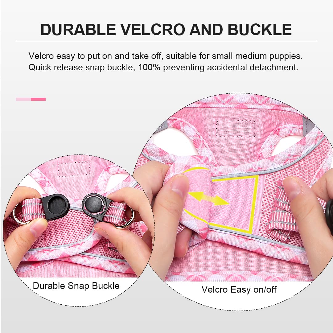 DORAMIO Step-in Dog Harness and Leash Set, Soft Mesh No-Chock Reflective Breathable Easy Walk Lightweight Vest Harnesses with Safety Buckle for Small Dogs, Cats, Puppies (Pink, XXS)