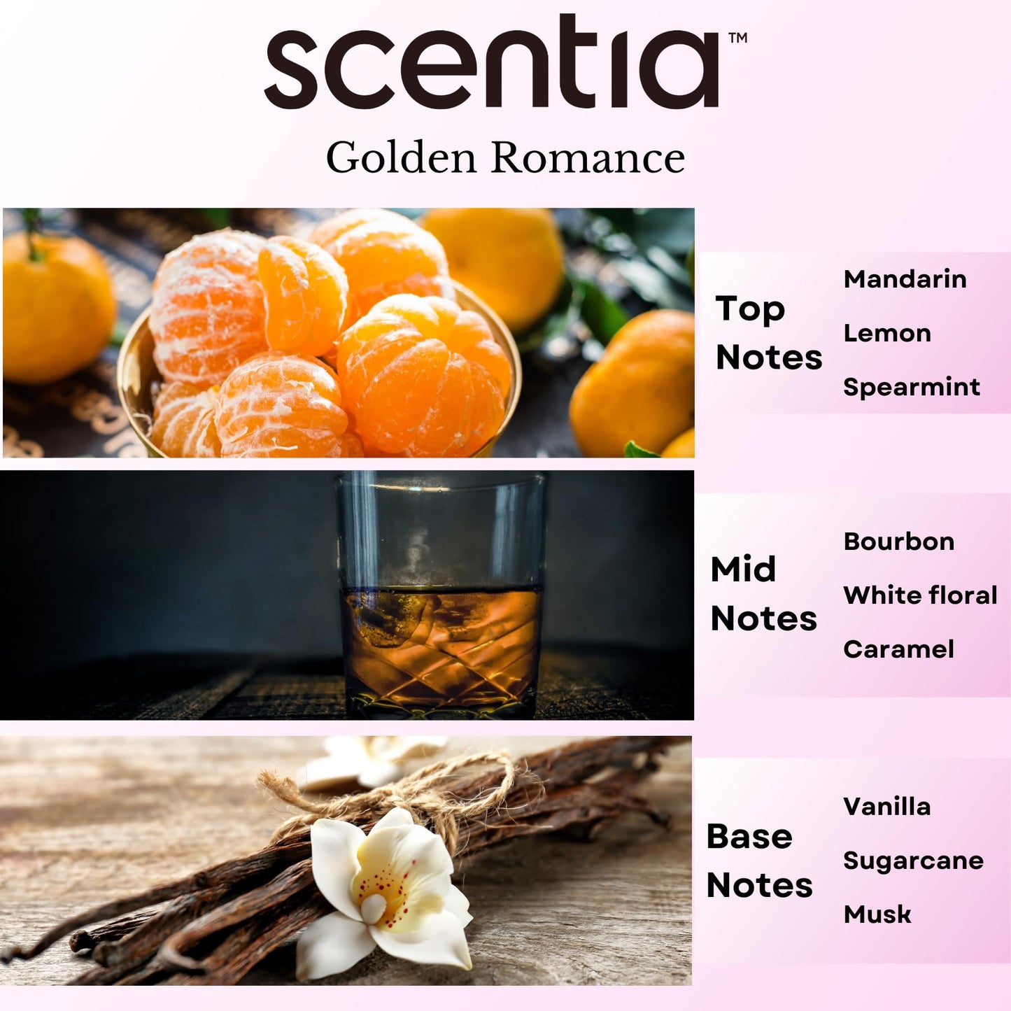 Love Collection Fragrance Oil Set – Essential Oil Blends for Diffusers, Candles & Soaps – Jasmine, Rose, Citrus, Amber & Musk – Made in USA, Phthalate-Free – Holiday Gift Set 3×20ml (2.03 fl oz)