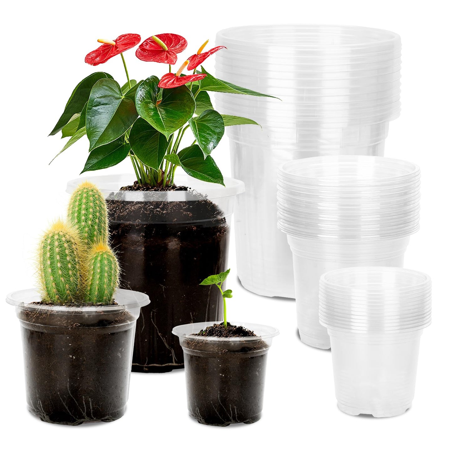 KINGLAKE 36 Pcs Plastic Plant Pots Clear Orchid Pots, 10/12.7/16.5cm Small Flower Seedling Nursery Pots for Potting Orchids Seed Cutting Succulents Indoor Outdoor Plants, Mixed Sizes