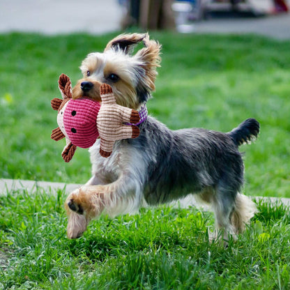 Toozey Dog Toys - 7 Pack Puppy Toys from 8 Weeks Small Dog - Interactive Chew Rope Toys, Non-Toxic Natural Cotton, Relieves Boredom
