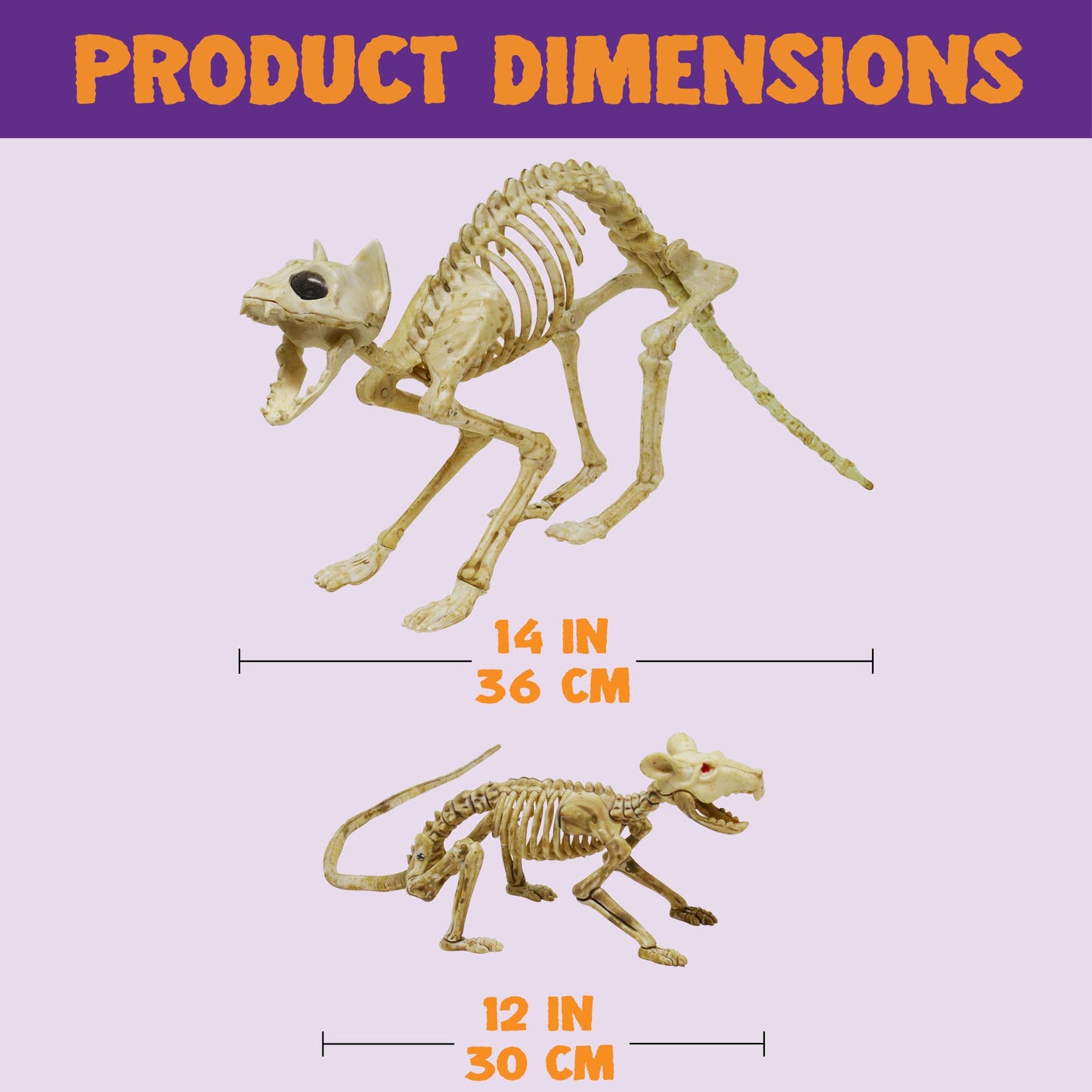Skeleton Cat and Rat Skeleton for Halloween Decorations, Skeleton Animal Yard Decor and Reaper Bones Animals
