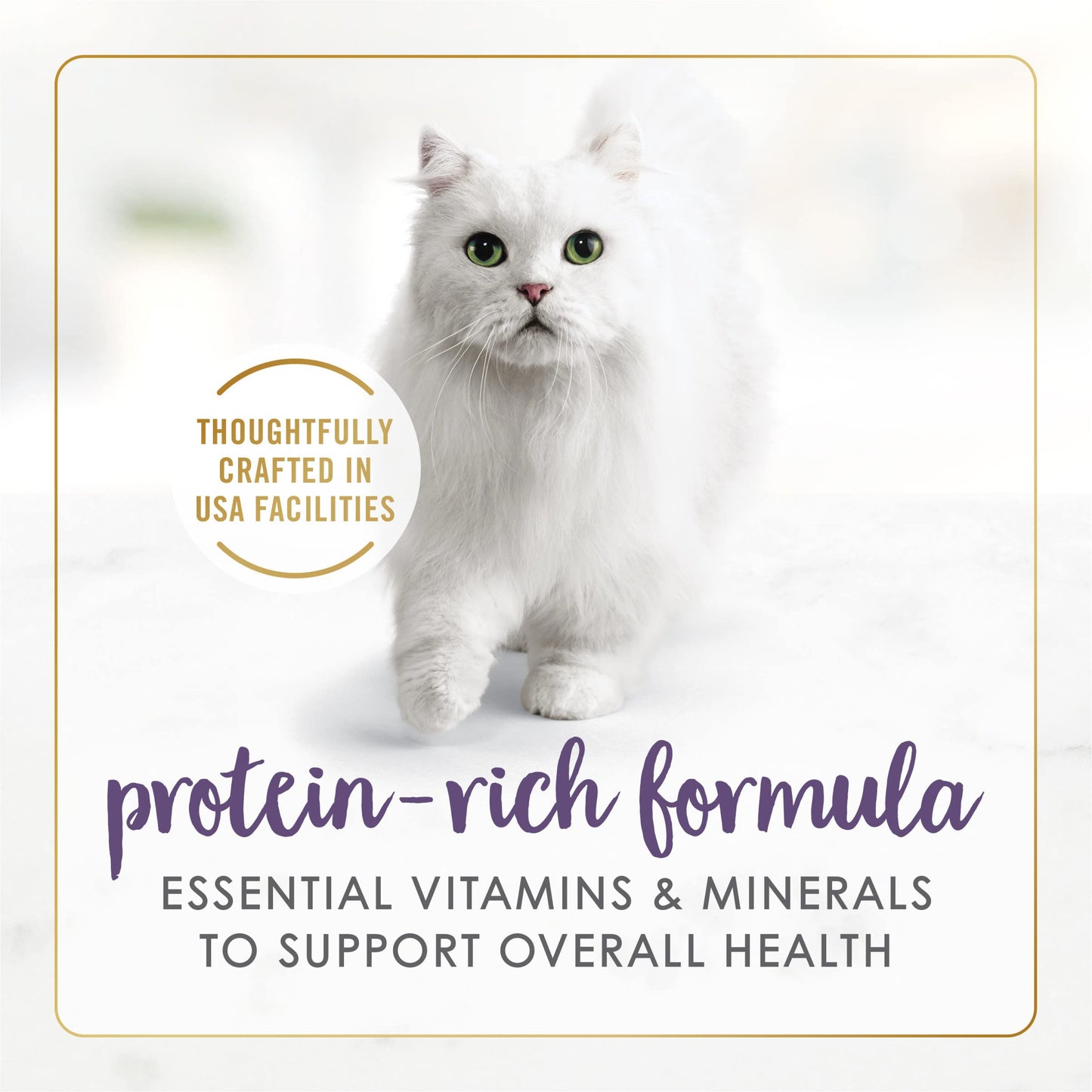 Purina Fancy Feast Grilled Wet Cat Food Beef Feast in Wet Cat Food Gravy - (Pack of 24) 3 oz. Cans