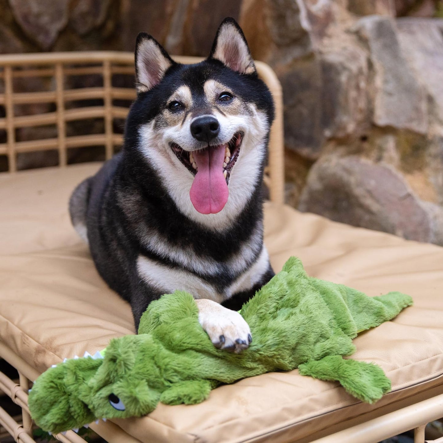 Best Pet Supplies 2-in-1 Stuffless Squeaky Dog Toys with Soft, Durable Fabric for Small, Medium, and Large Pets, No Stuffing for Indoor Play, Holds a Plastic Bottle - 1Wild Duck, Alligator, Large