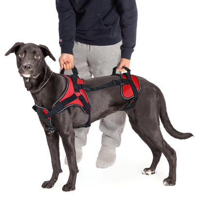 Doggie Stylz Multi-Functional Full-Body Lifting Dog Harness Vest, Designed for Front-Only, Rear-Only or Full-Body Lifting. Please Measure Your Dog Before Ordering.