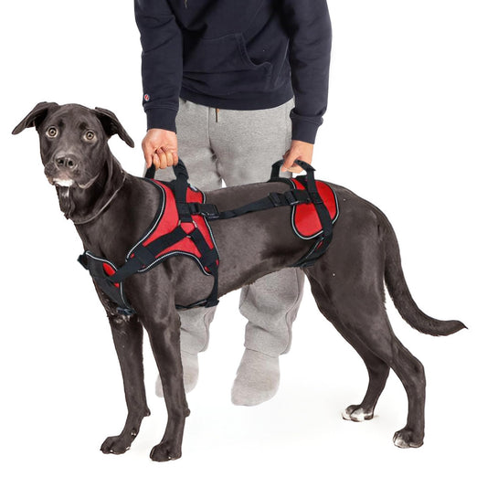 Doggie Stylz Multi-Functional Full-Body Lifting Dog Harness Vest, Designed for Front-Only, Rear-Only or Full-Body Lifting. Please Measure Your Dog Before Ordering.