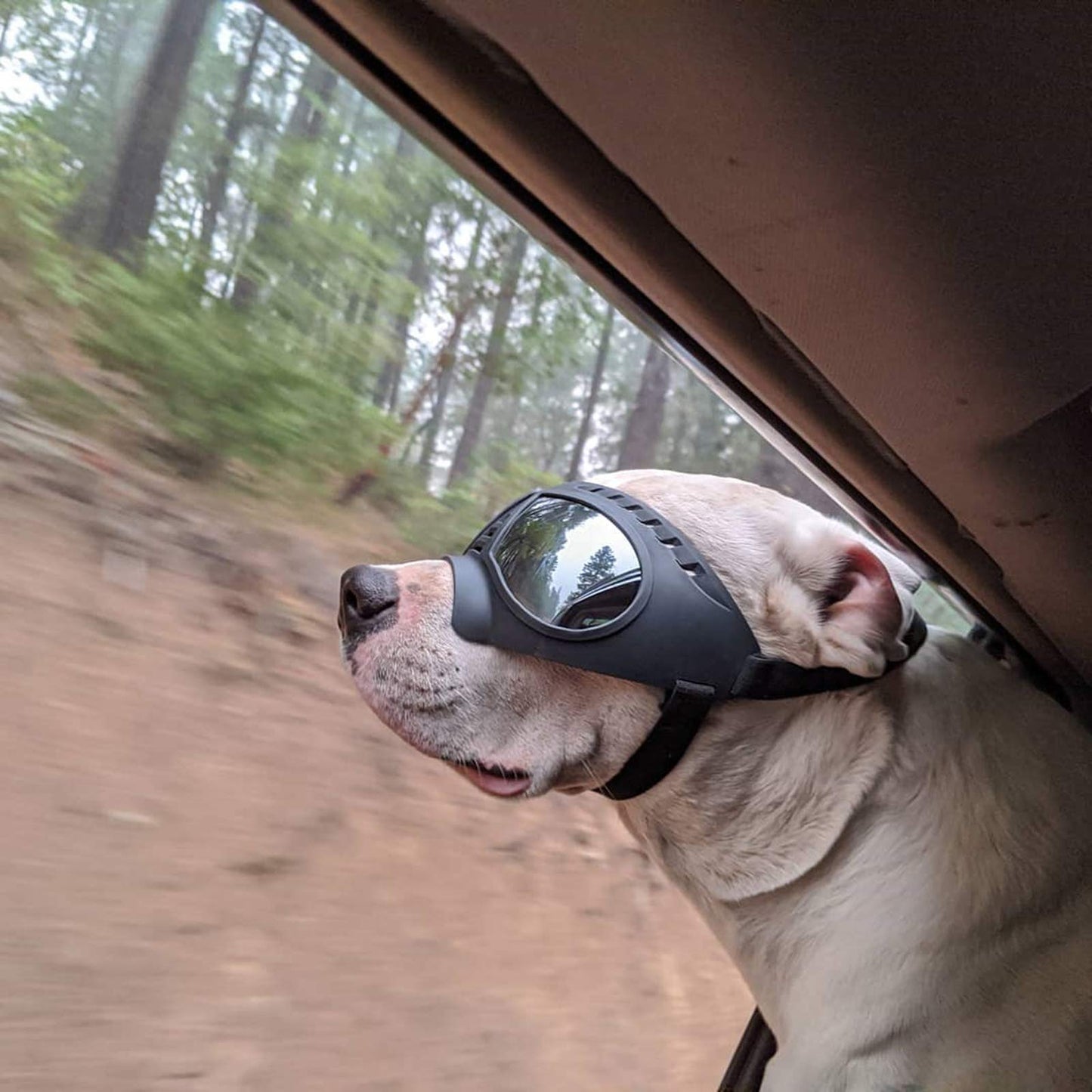 Namsan Dog Goggles Medium-Large Dog Anti-UV Sunglasses Windproof Snowproof Soft Frame Glasses for Long Snout Dogs Eyes Protection, Black
