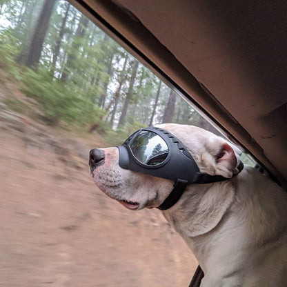 Namsan Dog Goggles Medium-Large Dog Anti-UV Sunglasses Windproof Snowproof Soft Frame Glasses for Long Snout Dogs Eyes Protection, Black