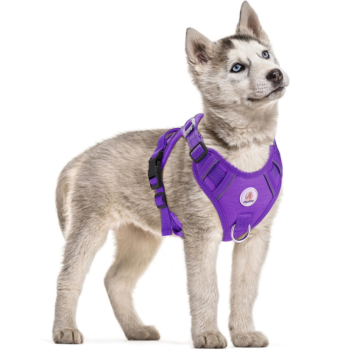 Hipubby Dog Harness Small Sized Dog, No Pull Pet Harness with 2 Metal Rings and Control Handle, Adjustable Soft Dog Vest with Reflective Strips, Easy Walking and Training for Small Dogs, Purple, S