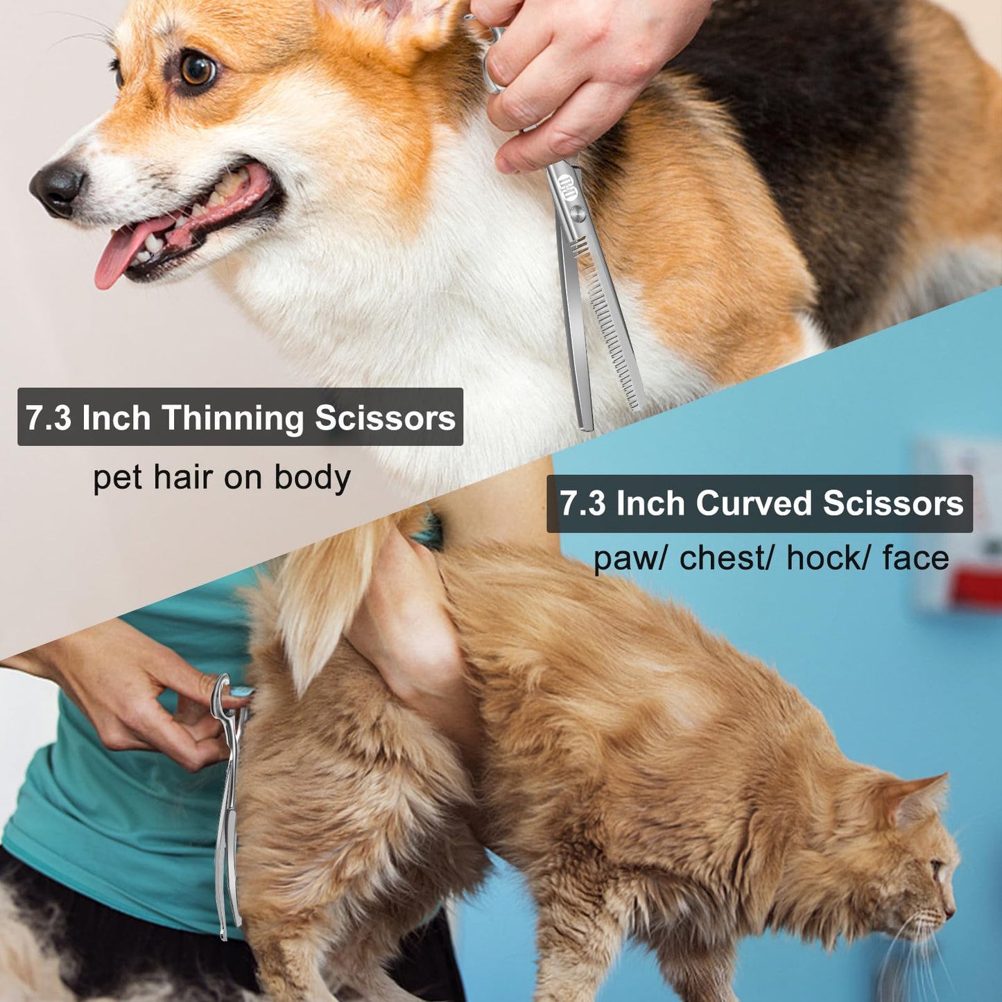 CIICII Dog Grooming Scissors Kit, 10-In-1 Professional Pet Grooming Scissors Set with Safety Round Tip (Dogs/Cat Hair Cutting Trimming Thinning Shears with Curved Scissors) for DIY Home Salon (Silver)