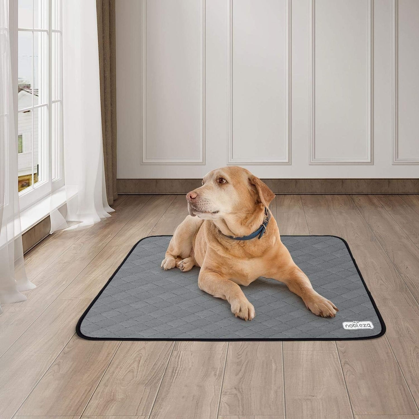 Nobleza 2 Pack Washable Puppy Pads Reusable, Large 81x72cm Dog Training Mat, Super Absorbent Leak-proof Incontinence Pet Pee Pad, Waterproof Non-slip Bottom Whelping Pads for Cat Rabbit