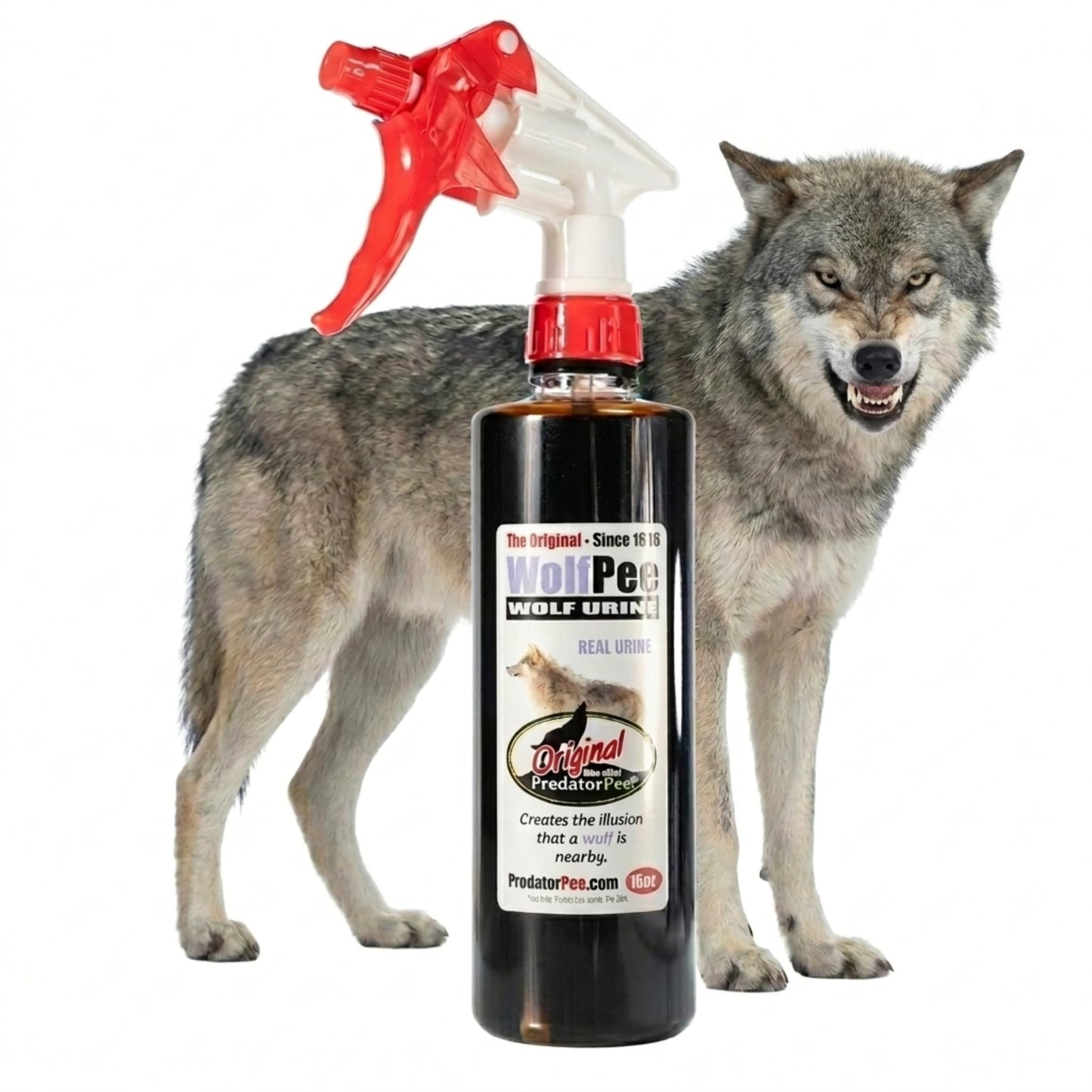 PredatorPee Wolf Urine, Territorial Marking Scent, Creates Illusion that a Wolf is Nearby, Natural Coyote and Fox Deterrent, 16oz