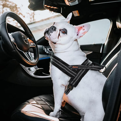 Didog Soft Flannel Padded Dog Vest Harness, No Pull/Quick Fit Reflective Dog Strap Harness, Easy for Training Walking (L:Chest 26-32", Black)