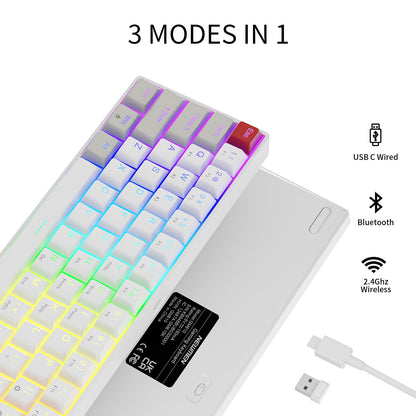 NEWMEN GM610 Wireless Mechanical Keyboard,60% USB C Wired/Bluetooth/2.4Ghz RGB Backlit Compact Hot Swappable Keyboard,White Anti-Ghosting PC Mac Windows Android Gaming Keyboards(Red Switches)