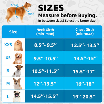 Hipubby Dog Harness and Leash Set, No Pull Soft Mesh Puppy Harness for Small Medium Dogs, Cats - Step in Adjustable Reflective Pet Harness with Buckle and Double D-Rings - Pink, XS