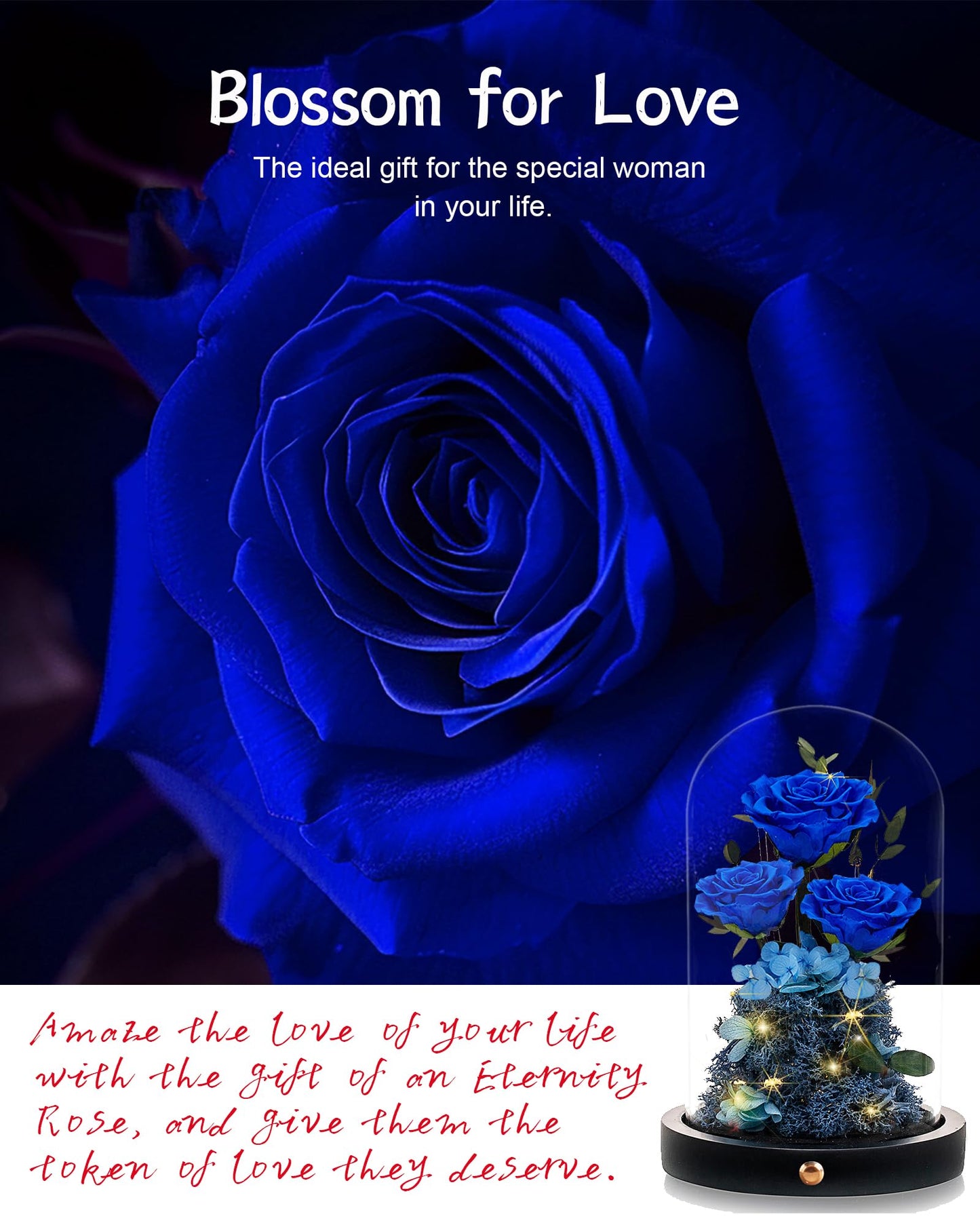 Valentines Day Flowers Roses Gifts for Her,Forever Real Preserved Roses in Glass Dome,Valentines Day Anniversary Birthday Gifts for Wife Girlfriend Women Mom Best Friend Her/Purple Rose