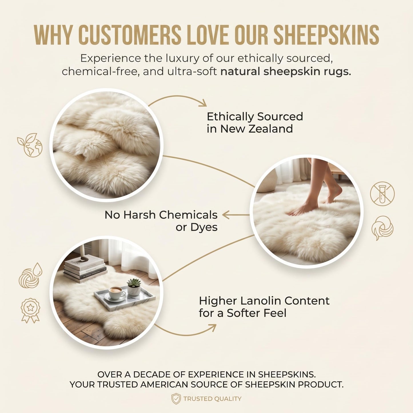Premium Genuine Fur Sheepskin Rug - Real N.Z. 100% Sheepskin Natural Luxury Fluffy Lambskin Fur Area Rug - Seat Cover for Sofa Chair and Bedroom - 2' W x 3'L - Natural Creamy White Wool