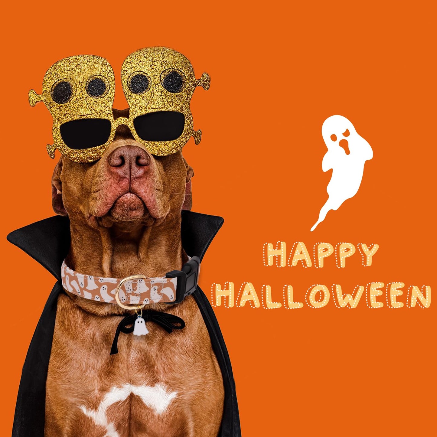 Faygarsle Fall Dog Collar - Adorable Ghost Pattern Halloween Collar for Small to Large Dogs - Cute Orange Neckwear for Boys & Girls