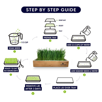 Cat Grass Refills for Self Watering Cat Grass Kit - 4 Mats and 4 Cat Grass Seed Packets (Refill Kit)
