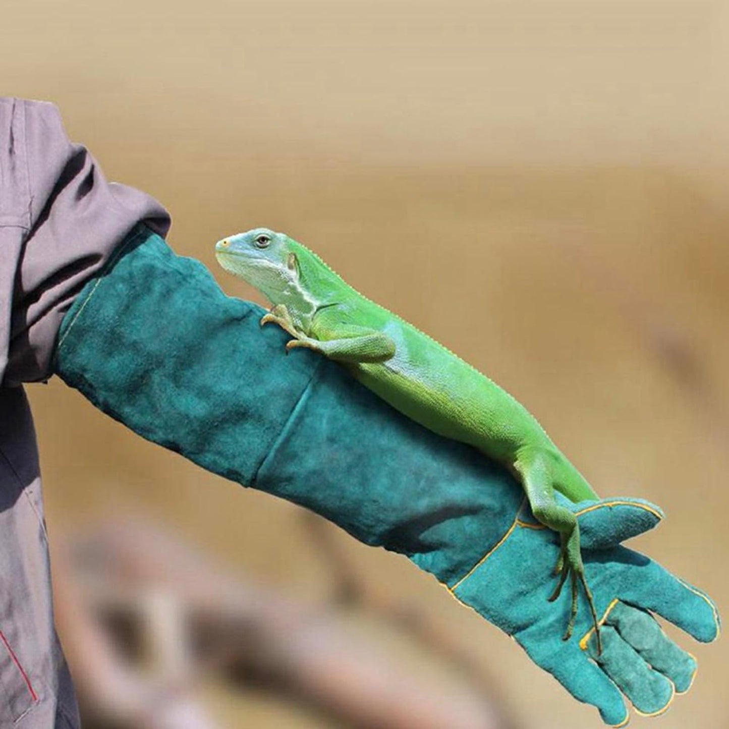 FIPASEN Animal Handling Gloves Bite Resistant, 23.6'' Anti Scratch Gloves for Cats, Multipurpose Bite Proof Leather Pet Gloves for Grabbing Cat Reptile Puppy Bird Poultry or Gardening Welding