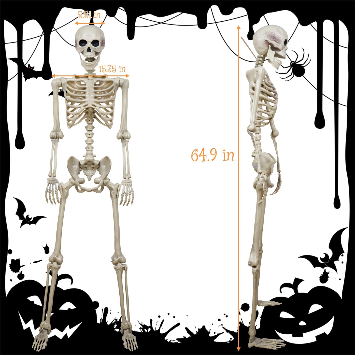 breesky 5.4 ft Halloween Life Size Skeleton, Full Body Realistic Human Bones with Flexible Joints, Skeleton for Halloween Full Size