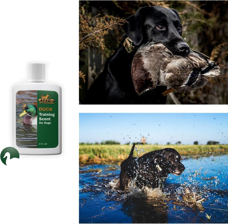 DT Systems Super Pro Series Training Scents - Natural Concentrated Hunting Retriever Scent Aid for Dogs | 4 oz
