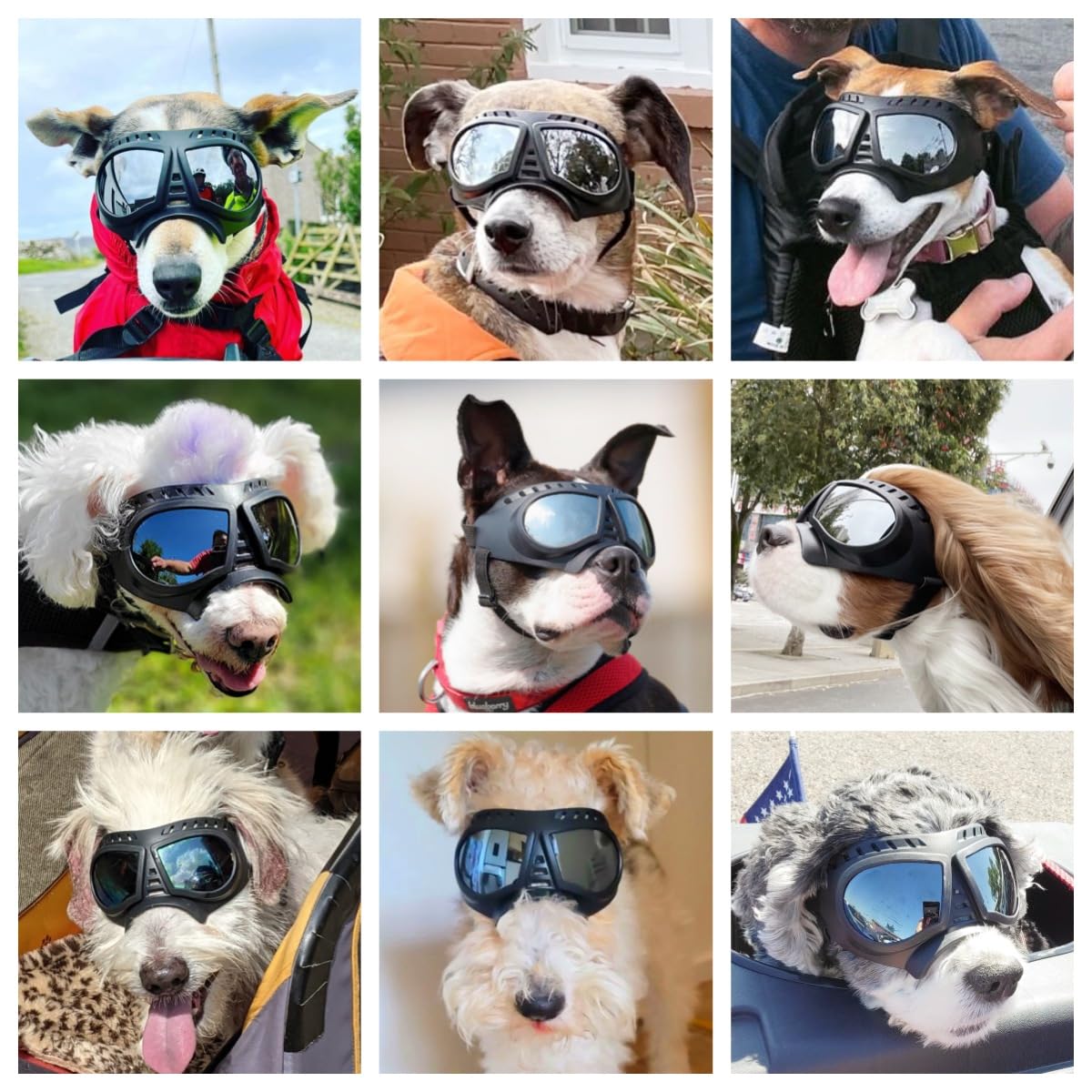 NAMSAN Dog Goggles Eye Protection Dog Sunglasses Anti-UV Goggles Windproof Puppy Goggles with Adjustable Flexible Straps for Small/Medium Dogs (Silver)