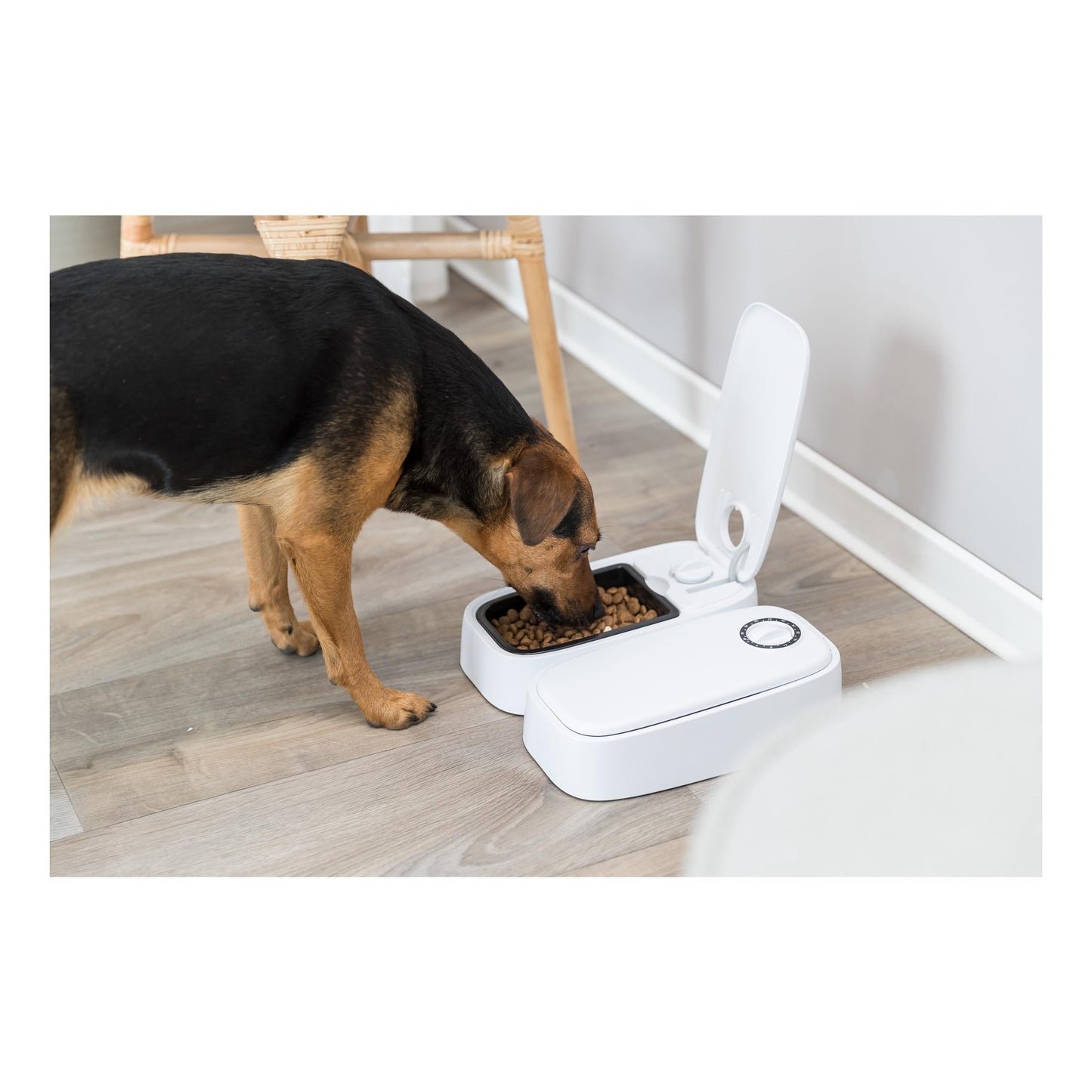 Trixie TX2 Automatic Food Dispenser, 300 ml/ 27 × 7 × 24 cm, white – Black/white - 24372
