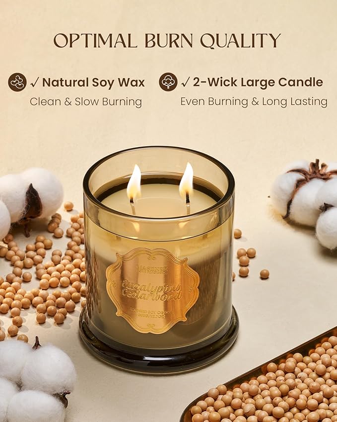 M&SENSE Eucalyptus Cedarwood Scented Candles, 2 Wick 12.7oz Large Jar Candle 75H Long Lasting, Plant-Based Non Toxic Soy, Aromatherapy Candles Stress Relief, Fall Winter Thanksgiving Christmas Gift