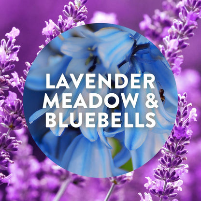 Air Wick |Purple Lavender Meadow |Plug In Electrical Air Freshener Refills| 19ml |Pack of 6 |Lasts up to 600 days