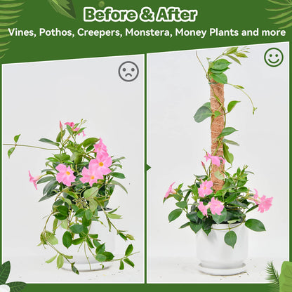49 inch/125 cm Tall Moss Pole for Plants, SproutMaven 4 x 16 Inch/41 cm Monstera Moss Pole kit for Indoor Outdoor Climbing Plants Lianas to Grow Upwards
