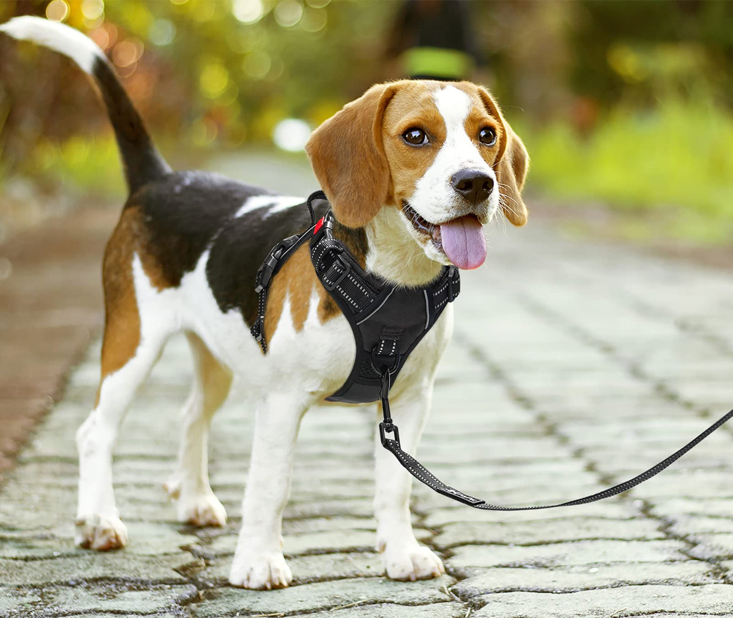 PoyPet No Pull Dog Harness with Neck Release Buckle, Reflective No-Choke Harness with 2 Leash Clip, Adjustable Soft Padded Pet Vest with Easy Control Handle for Medium Dogs (Black,M)
