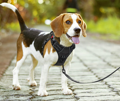 PoyPet No Pull Dog Harness with Neck Release Buckle, Reflective No-Choke Harness with 2 Leash Clip, Adjustable Soft Padded Pet Vest with Easy Control Handle for Medium Dogs (Black,M)