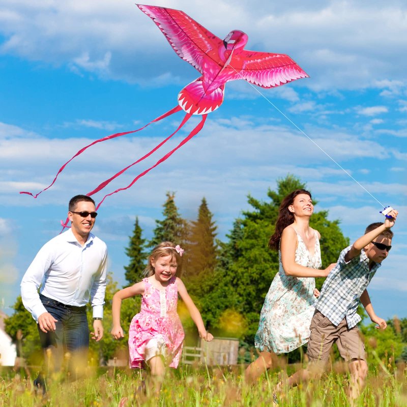 Mint’s Colorful Life Pink Kite for Kids Adults, Large Flamingo Bird Kite Easy to Fly Beach Kites