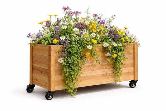 Danny Custom Work Tall Cedar Planter Box with Locking Wheels – Mobile Raised Garden Bed for Patio, Balcony & Business Entrances – Wooden Planter with Brakes for Flowers, Herb & Vegetable Plants (36")
