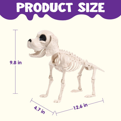 JOYIN Posable Halloween Dog Skeleton Full Body Posable Joints Realistic Skeleton Puppy with Movable Joints for Halloween Decoration, Graveyard Party Decor (9.8” X 4.7” X 12.6”)